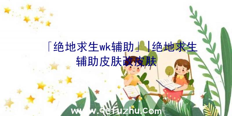 「绝地求生wk辅助」|绝地求生辅助皮肤改皮肤